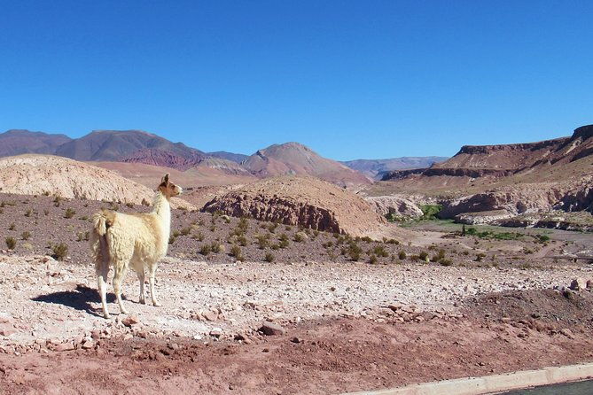 rainbow-valley-2