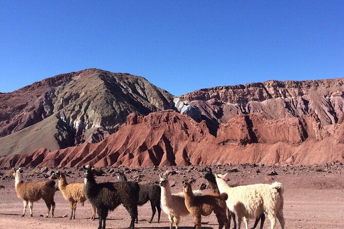 rainbow-valley-tour-in-atacama