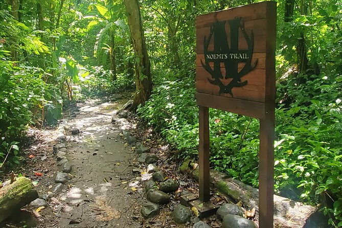 rainforest-and-junglequi-zipline-combo-tour