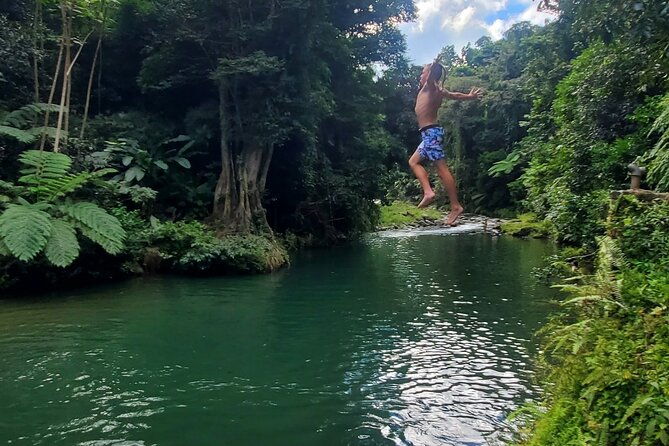 rainforest-and-junglequi-zipline-combo-tour