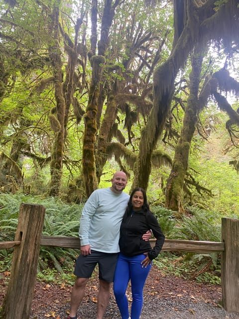Rainforest and Olympic National Park Highlights - The Allure of Olympic National Park in a Day or Two