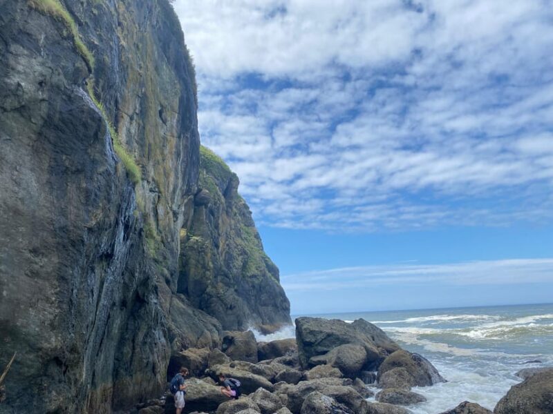 Rainforest and Olympic National Park Highlights - Daily Itinerary Breakdown