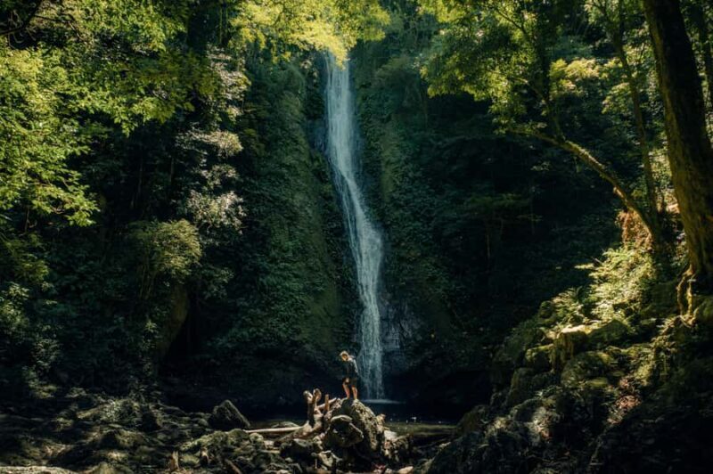 Rainforest Bird Photography Trek in Kitulgala - An Introduction to the Experience