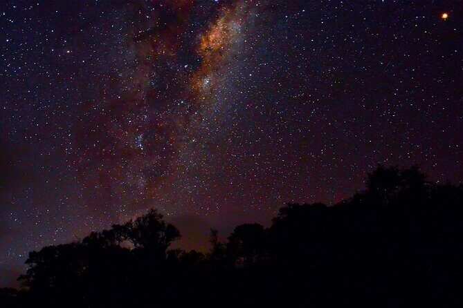 Rainforest Camping in Kudremukh National Park - Key Points