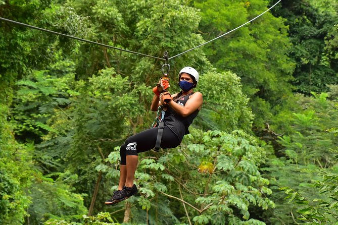 rainforest-canopy-adventure-pacific
