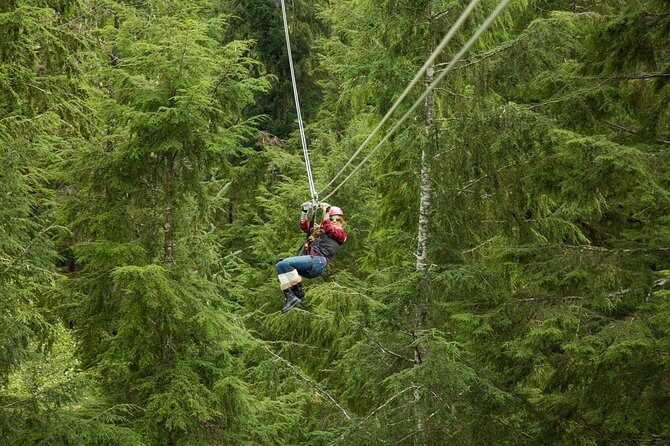 Rainforest Canopy & Zipline Adventure in Ketchikan, AK - What to Expect from the Rainforest Canopy & Zipline Tour