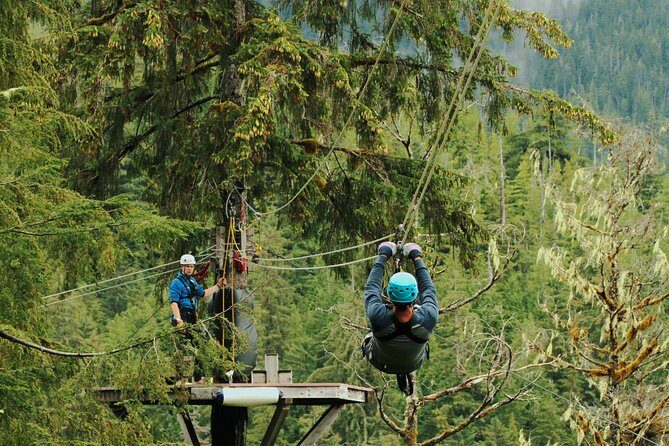 Rainforest Canopy & Zipline Adventure in Ketchikan, AK - Practical Tips for Your Zipline Adventure