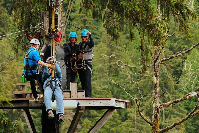 Rainforest Canopy & Zipline Adventure in Ketchikan, AK - The Sum Up