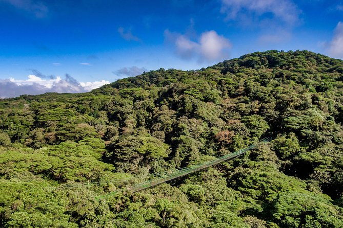 rainforest-canopy-zipline-hanging-bridges-tour-from-monteverde