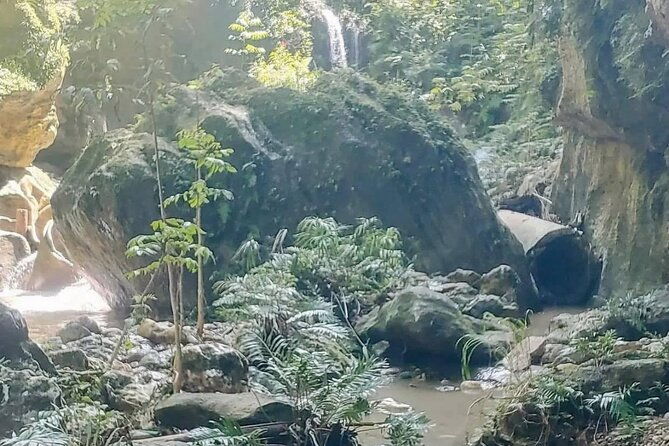 rainforest-caves-and-waterfalls-exploration-with-transportation