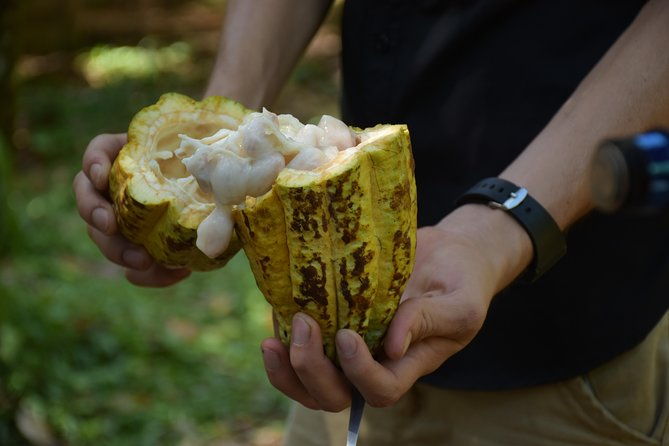 rainforest-chocolat-la-fortuna-waterfall-adventure