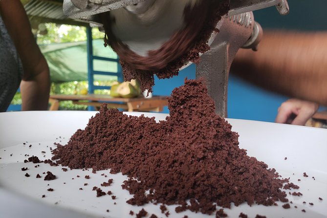 rainforest-combo-chocolate-sloths-cortes-waterfall