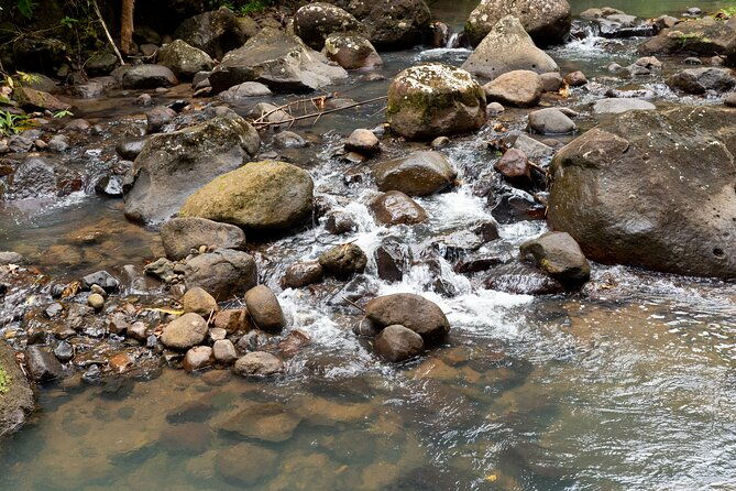 rainforest-hike-and-waterfall-safari
