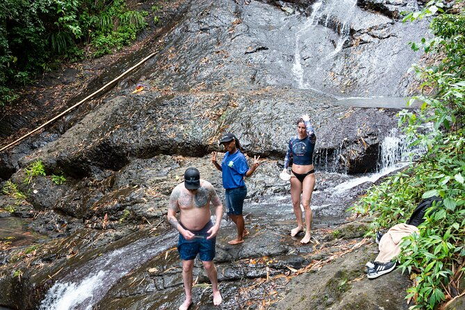 rainforest-hike-and-waterfall-safari