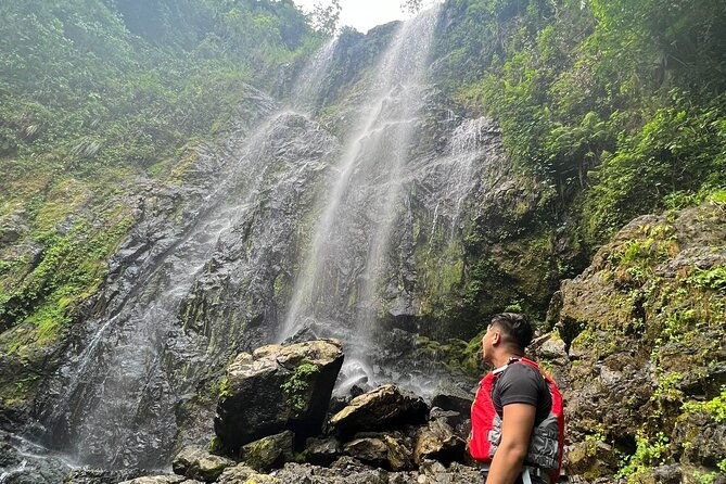 rainforest-hike-to-hidden-waterfall-in-puerto-rico-with-transport