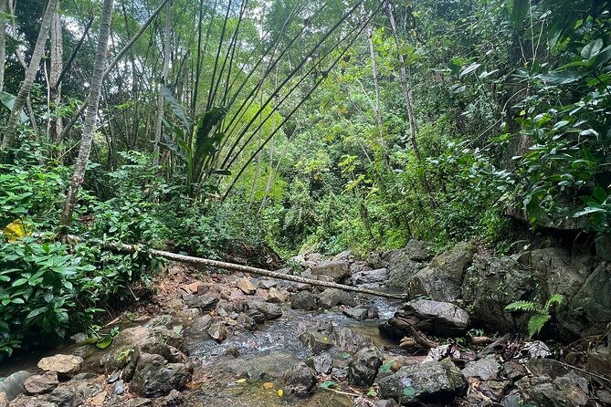 rainforest-hike-to-hidden-waterfall-in-puerto-rico-with-transport