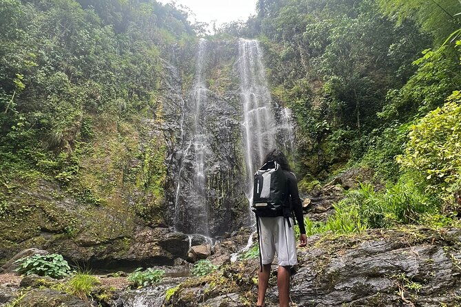 rainforest-hike-to-hidden-waterfall-in-puerto-rico-with-transport