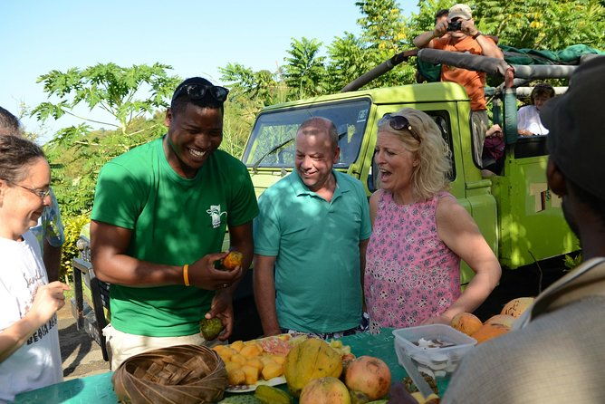 rainforest-hike-waterfall-safari-st-lucia-from-castries