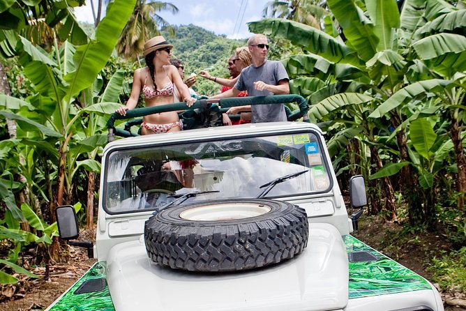 rainforest-hike-waterfall-safari-st-lucia-from-castries
