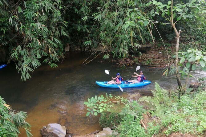Rainforest Kayaking with Semenggoh Orangutan Center from Kuching - What to Expect from the Rainforest Kayaking Tour