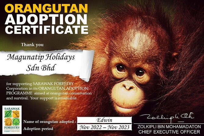 Rainforest Kayaking with Semenggoh Orangutan Center from Kuching - Who is This Tour Best For?