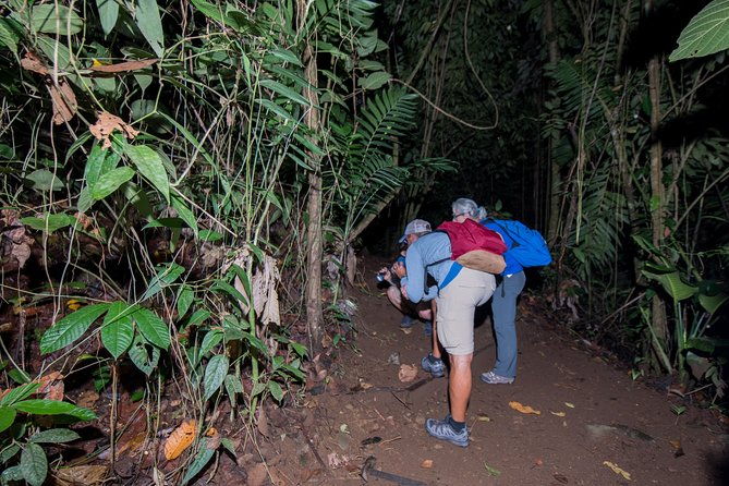rainforest-night-walking-tour-private-property