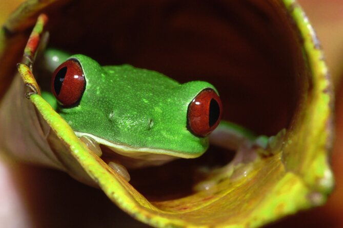 rainforest-night-walking-tour-private-property