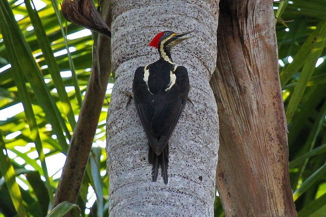 rainforest-peru-3-days-tour