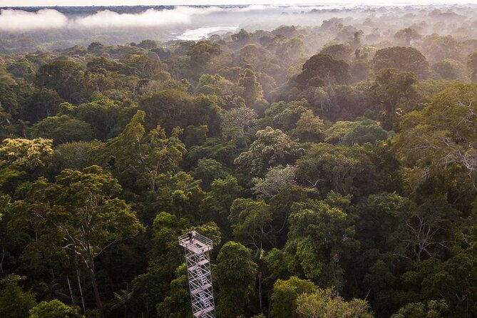 rainforest-peru-3-days-tour