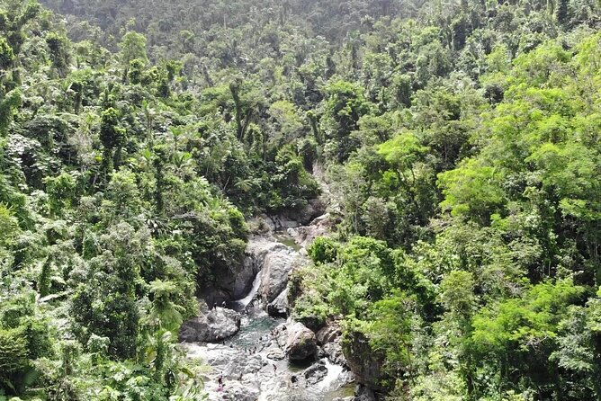 rainforest-river-nature-walk-adventure-and-luquillo-beach