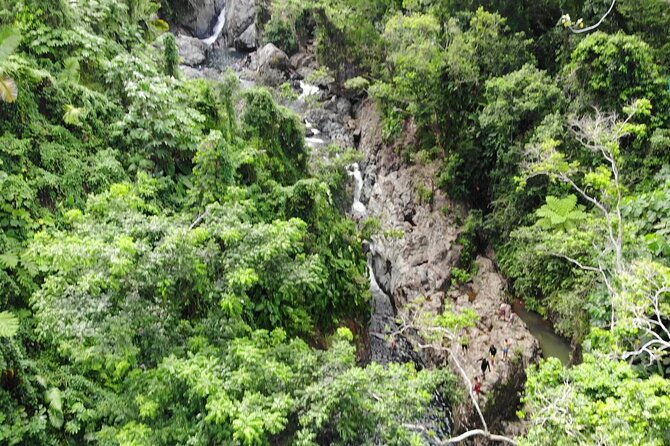 rainforest-river-nature-walk-adventure-and-luquillo-beach