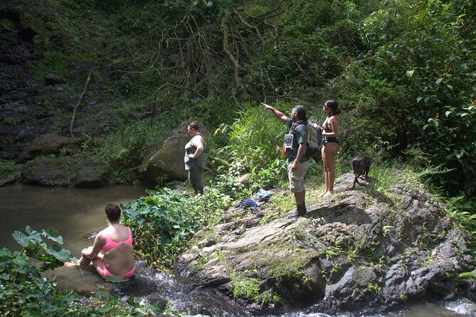 rainforest-tour-in-san-juan-puerto-rico