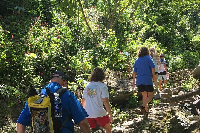 rainforest-tour-in-san-juan-puerto-rico