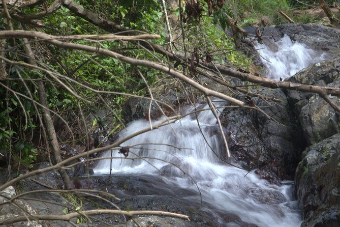 rainforest-tour-in-san-juan-puerto-rico