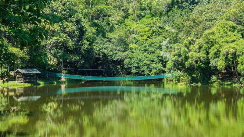 rainforest-tour-labuk-bay-sun-bear-sepilok-sandakan
