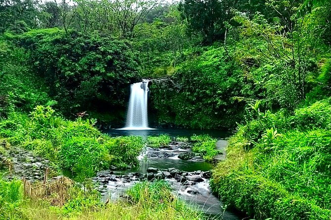 rainforest-tour-to-hana-and-beyond