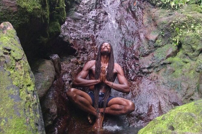 rainforest-waterfall-hike-with-rastafarian-nature-guide