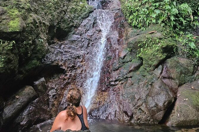rainforest-waterfall-hike-with-rastafarian-nature-guide