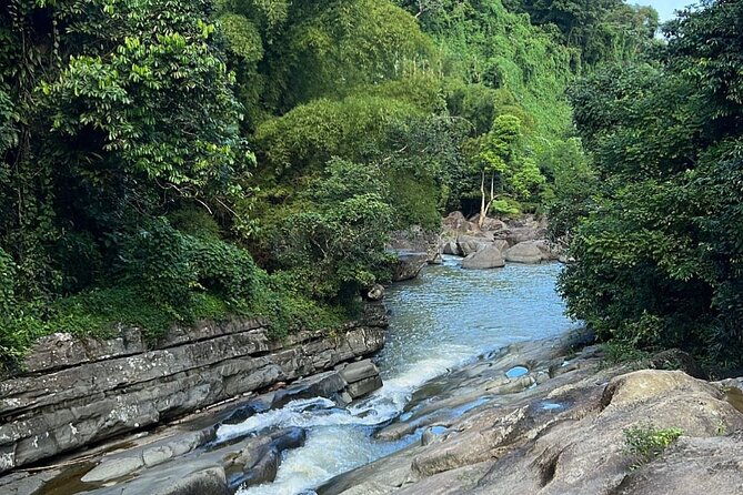 rainforest-waterfall-slide-and-rope-swing-with-adult-drinks