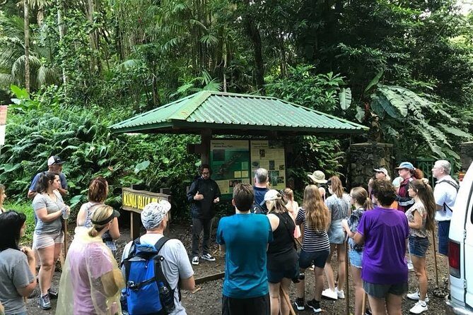 Rainforest Waterfall Trail and Shuttle Service - The Authenticity and Value of this Experience