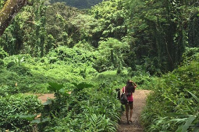 Rainforest Waterfall Trail and Shuttle Service - FAQs