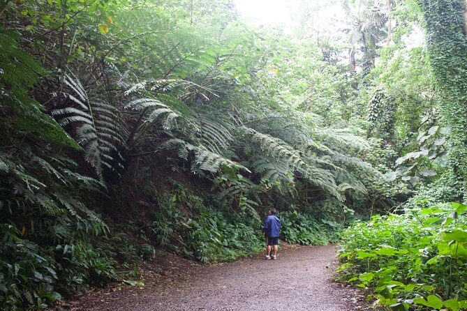 Rainforest Waterfall Trail and Shuttle Service - Final Thoughts