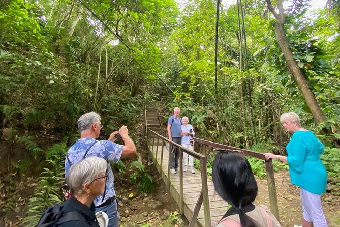 rainforest-wildlife-panama-hat-makers-traditional-cuisine-shore-tour