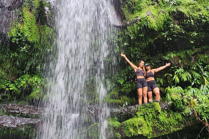 rainforest-wonders-private-full-day-experience-from-san-juan