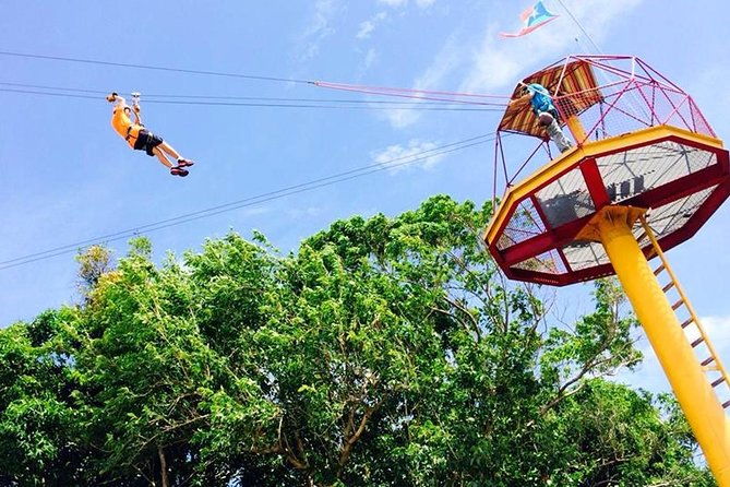 rainforest-zipline-in-foothills-of-the-national-rainforest