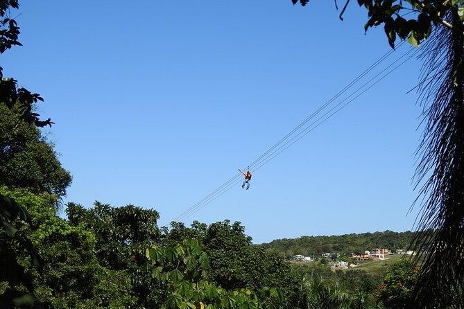 rainforest-zipline-in-foothills-of-the-national-rainforest