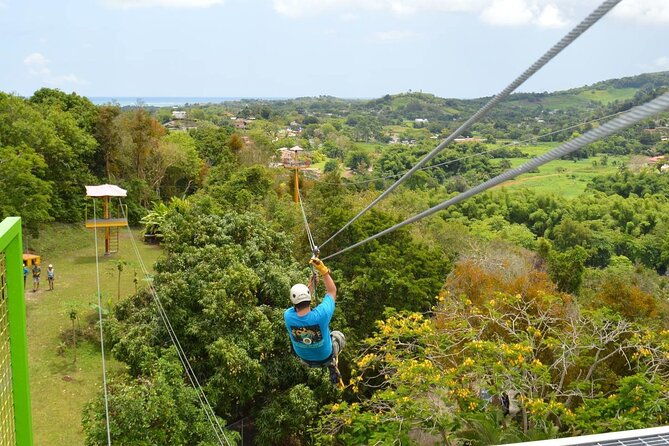 rainforest-zipline-in-foothills-of-the-national-rainforest