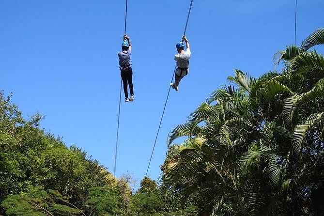 rainforest-zipline-in-foothills-of-the-national-rainforest