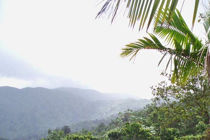 rainforest-zipline-luquillo-beach-and-natural-springs-day-trip