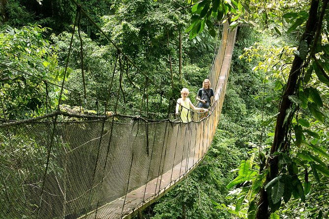 rainmaker-park-hanging-bridges-waterfalls-tour-with-jade-tours